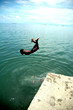 plongeon (bambous virieux, ile maurive) plongeon (bambous virieux, ile maurive)