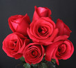 red roses