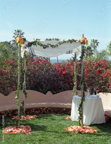 Foto: chuppah chuppah