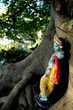 krishna (albion, ile maurice) krishna (albion, ile maurice)