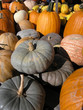 pile of pumpkins