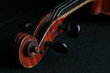 violin5215