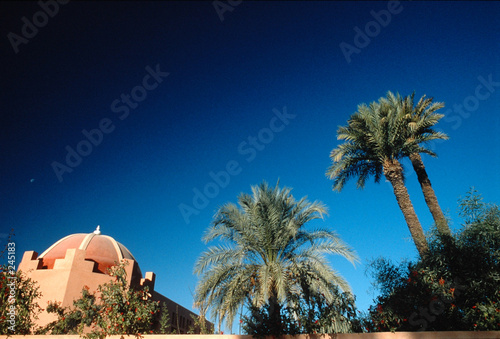 palmeraie de marrakech