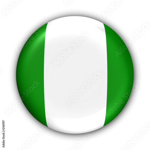 nigeria flag nigeria flag