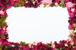 Photo: dried flowers frame dried flowers frame