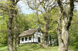 forest house forest house