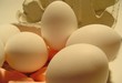 kunst ei - egg art