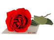 love letter