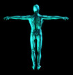 medical scan 2 medical scan 2