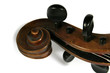 cello scroll detail