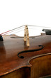cello detail