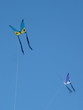 cerfs volants