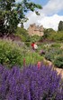 crathes castle garden crathes castle garden