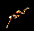 muscle 54