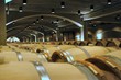 barrels in wine cellar