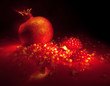 red splendour red splendour