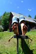 entspannung auf der alm