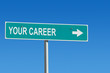 your career
