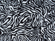 Wild life pattern