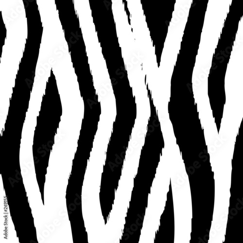 Illustration: zebra print zebra print