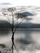 buttermere lake