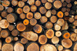 log pile