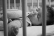 sleeping beauty