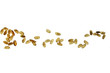 granos de arroz