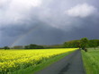 feldweg 2