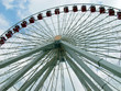 high wheel