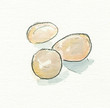 oeufs