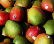 mangos for sale