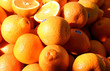 oranges for sale