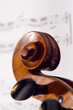 violine head