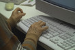 informatique