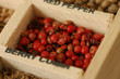 poivre rouge