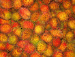 tropical fruit background