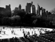 patinoire patinoire