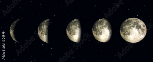 night time moon