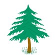 arbre