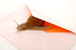 snail mail
