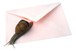 snail mail isolated