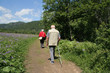 alpine walkers