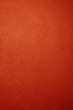 red leather - macro