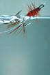 red frances fly