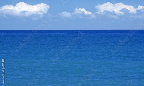 mer 001