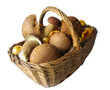 basket full of mushrooms