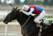 carrera de caballos