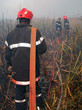 feu de savane