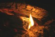 feu de bois